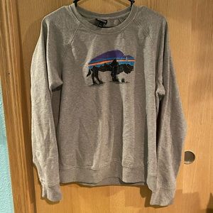 Yellowstone national park Patagonia sweatshirt